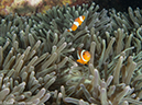 %_tempFileName2013-03-11_1_Phi_Phi_Island_Palong_Bay-1%
