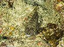 %_tempFileName2013-03-11_1_Phi_Phi_Island_Palong_Bay-58%