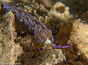 %_tempFileName2013-03-11_4_Losama_Island_Losama_Bay-60%