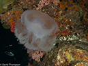 %_tempFileName2013-03-12_2_Hin_Muang-23%