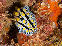 %_tempFileName2013-03-12_2_Hin_Muang-28%