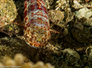 %_tempFileName2013-03-12_2_Hin_Muang-32%