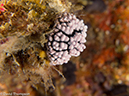 %_tempFileName2013-03-12_3_Hin_Muang-33%
