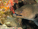 %_tempFileName2013-03-12_4_Him_Daeng-64%