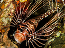 %_tempFileName2013-03-14_1_Him_Muang-13%