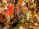 %_tempFileName2013-03-14_1_Him_Muang-14%