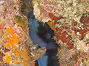 %_tempFileName2013-03-14_1_Him_Muang-3%