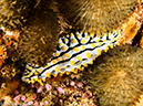 %_tempFileName2013-03-14_4_Him_Muang-14%