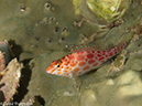 %_tempFileName2013-03-14_4_Him_Muang-23%