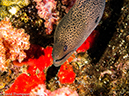 %_tempFileName2013-03-14_4_Him_Muang-44%