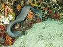%_tempFileName2013-03-14_5_Him_Daeng_Night-19%