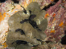 %_tempFileName2013-03-14_5_Him_Daeng_Night-29%