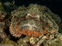 %_tempFileName2013-03-15_2_Koh_Haa_Noi_No_5-47%