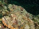 %_tempFileName2013-03-15_2_Koh_Haa_Noi_No_5-51%