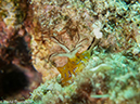 %_tempFileName2013-03-15_3_Koh_Haa_Lagoon-15%