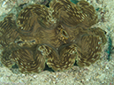 %_tempFileName2013-03-15_3_Koh_Haa_Lagoon-2%