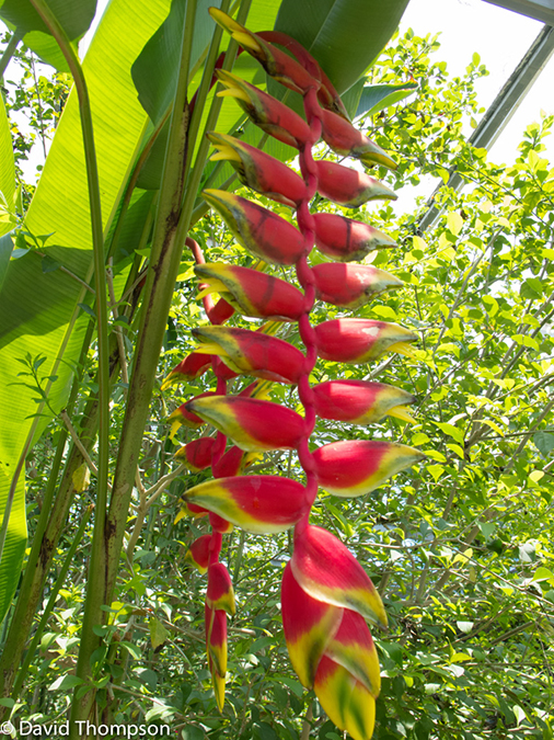 %_tempFileName2013_03_09_Phuket_Thailand-107%