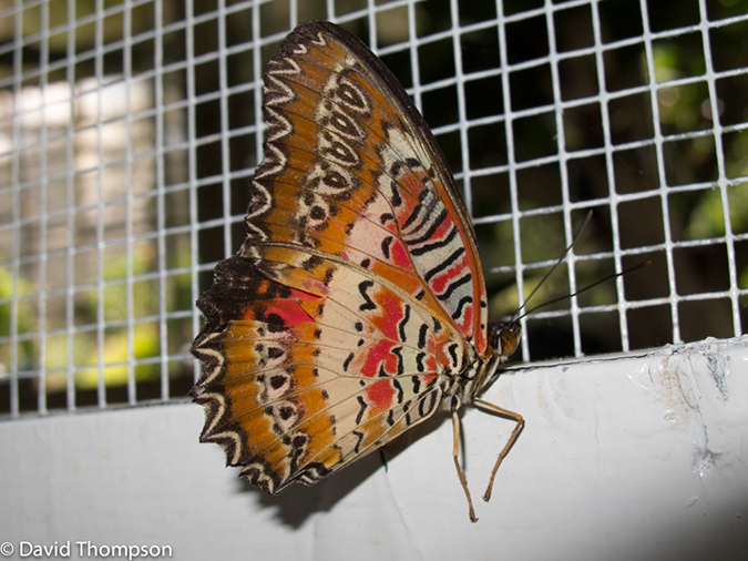 %_tempFileName2013_03_09_Phuket_Thailand-79%