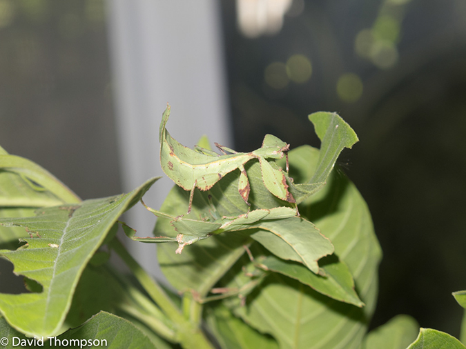 %_tempFileName2013_03_09_Phuket_Thailand-96%