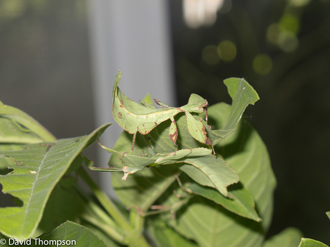 %_tempFileName2013_03_09_Phuket_Thailand-97%