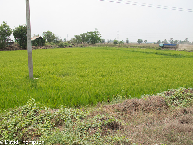 %_tempFileName2013_03_21_Ayutthaya_Bike_Ride_Thailand-128%