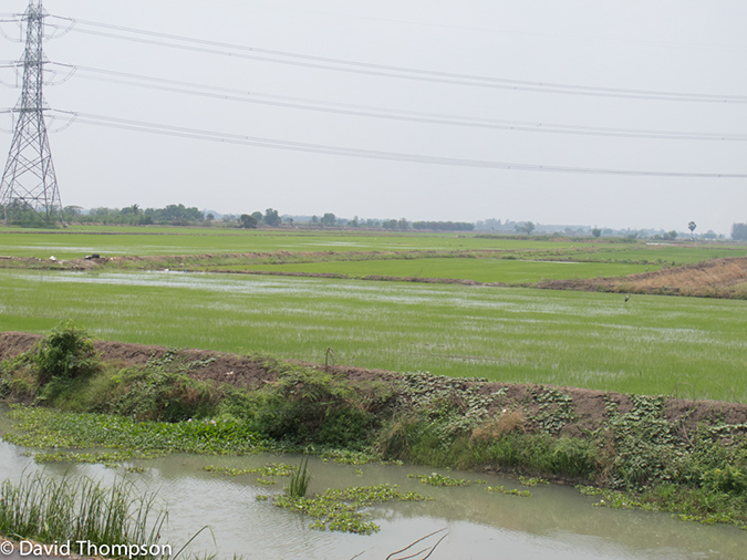 %_tempFileName2013_03_21_Ayutthaya_Bike_Ride_Thailand-151%
