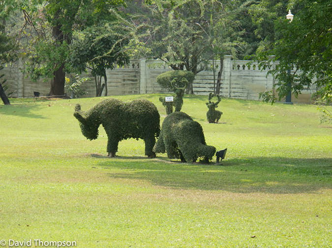 %_tempFileName2013_03_21_Ayutthaya_Bike_Ride_Thailand-190%
