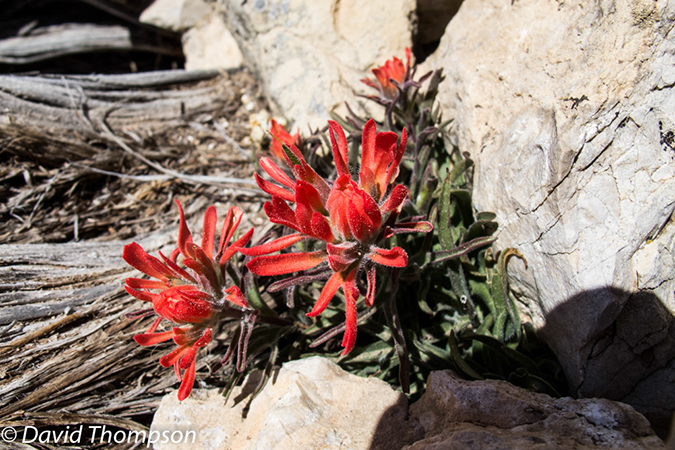 %_tempFileName2013-04-26_Thunder_River_Trail-10%