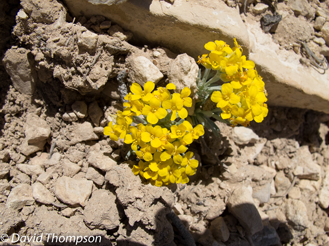 %_tempFileName2013-04-26_Thunder_River_Trail-22%
