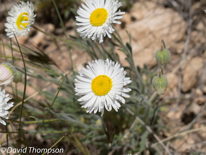 %_tempFileName2013-04-26_Thunder_River_Trail-25%