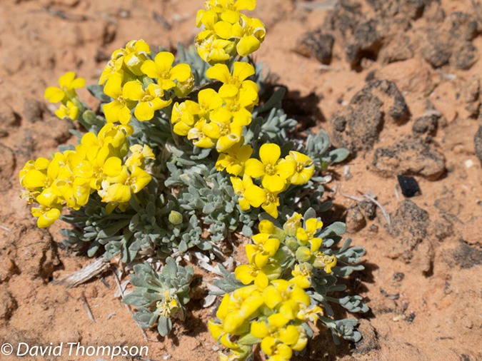 %_tempFileName2013-04-26_Thunder_River_Trail-34%