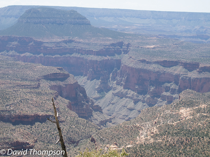 %_tempFileName2013-04-26_Thunder_River_Trail-5%