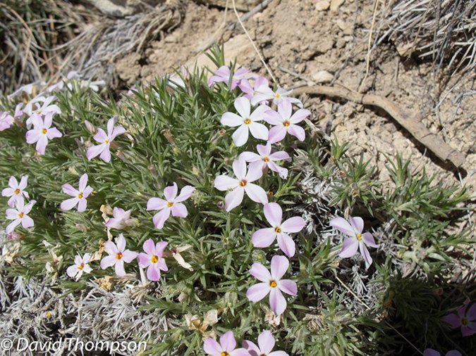 %_tempFileName2013-04-26_Thunder_River_Trail-6%
