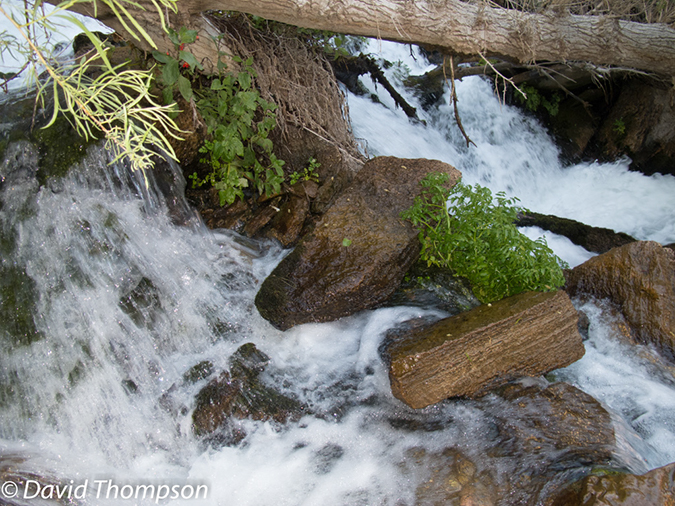 %_tempFileName2013-04-26_Thunder_River_Trail-62%