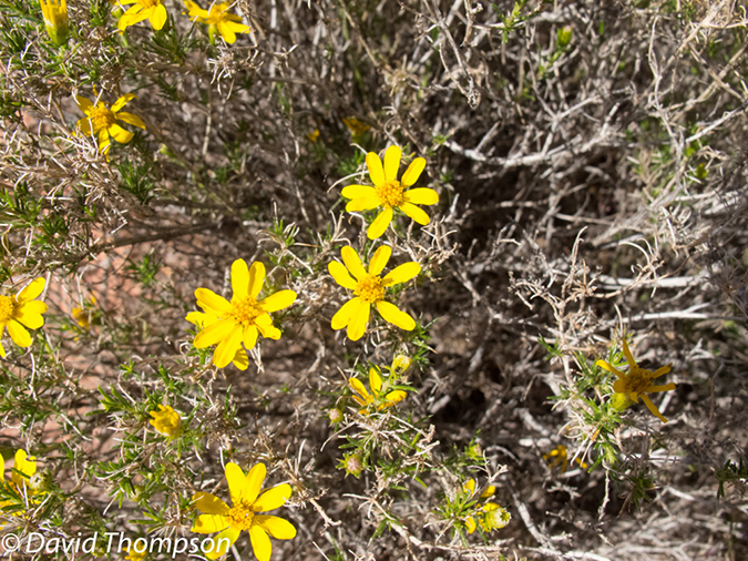 %_tempFileName2013-04-27_Thunder_River_Trail-2%