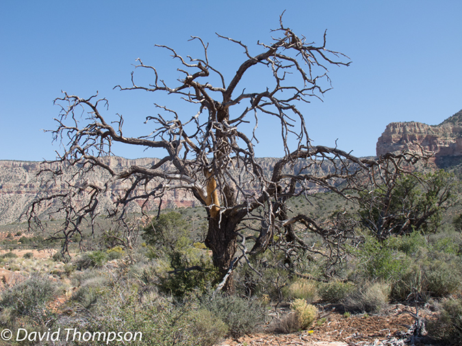 %_tempFileName2013-04-28_Thunder_River_Trail-36%