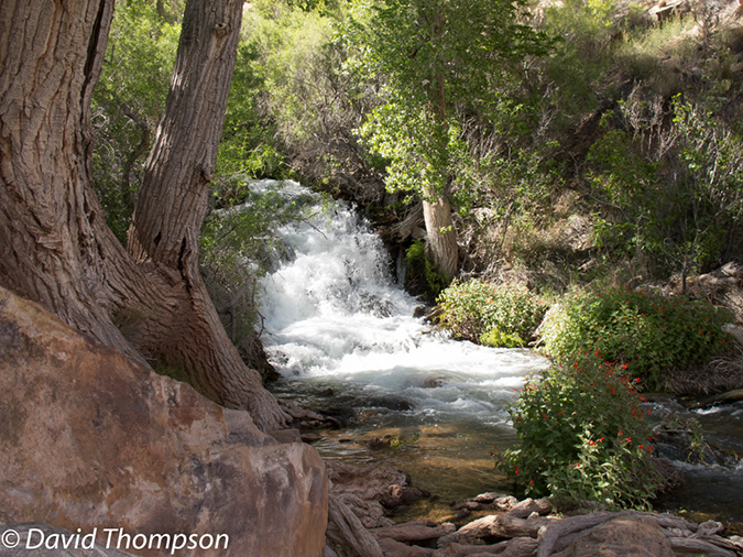 %_tempFileName2013-04-28_Thunder_River_Trail-4%