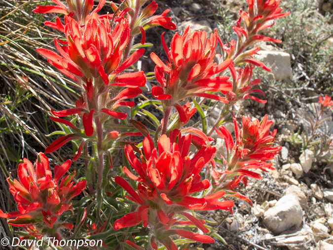 %_tempFileName2013-04-28_Thunder_River_Trail-43%