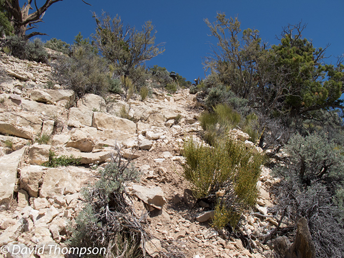 %_tempFileName2013-04-28_Thunder_River_Trail-44%