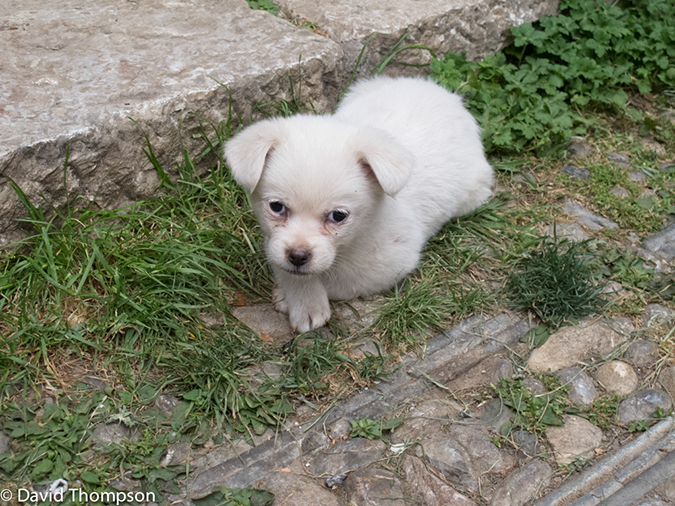 %_tempFileName2013-03-26_Lijiang_China-1%