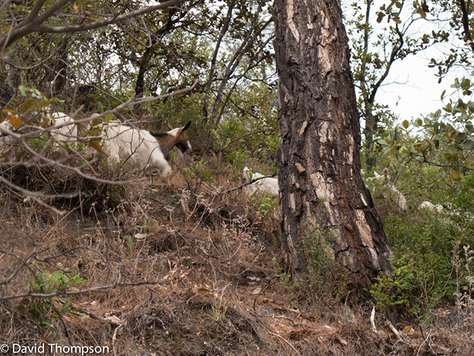 %_tempFileName2013-03-27_Tiger_Leaping_Gorge-49%