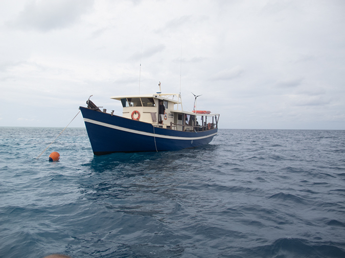 %_tempFileName20120510-0-Liveaboard%