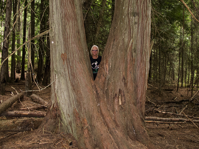 %_tempFileName2013-08-01_3_Banner_Falls_Kootenai_WLR-2%