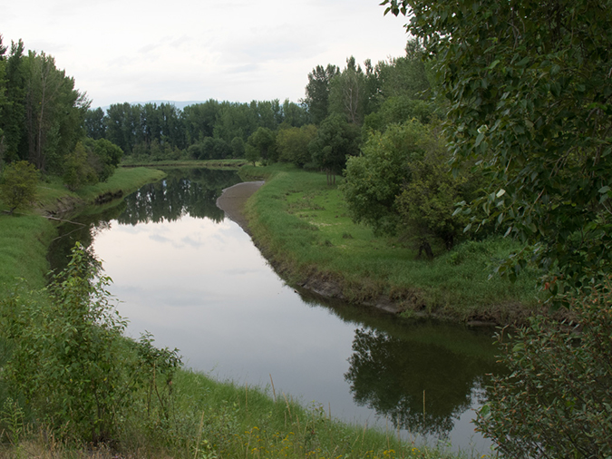 %_tempFileName2013-08-01_4_Deep_Creek_Kootenai_WLF-1%