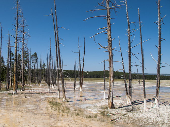 %_tempFileName2013-08-05_3_Fountain_Paint_Pots_Yellowstone_NP-17%
