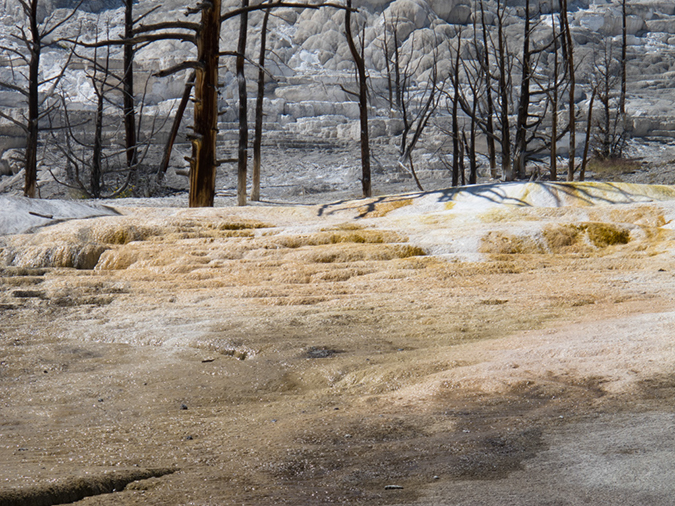 %_tempFileName2013-08-07_5_Mammoth_Hot_Springs_Yellowstone_NP-6%