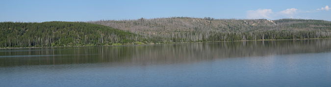 %_tempFileName2013-08-08_1_Yellowstone_NP-2%