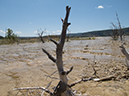 %_tempFileName2013-08-05_5_Geyser_Basin_Overlook_Yellowstone_NP-26%
