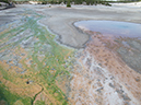%_tempFileName2013-08-06_7_Norris_Geyser_Basin_Yellowstone_NP-4%